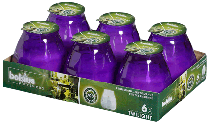 Twilight Glass filled Candles Purple (6)